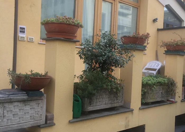 Cittadella Dom wakacyjny *